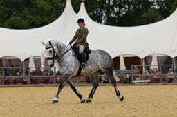 H29_0514 2026