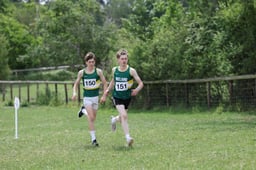 Heat 3