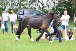 J36_6604 2026