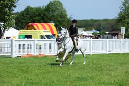 F33_0417 2026