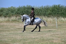 S60_0586 2026
