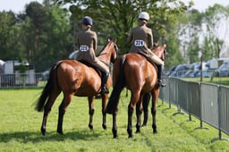 48 RoR Open Ridden Show Horse