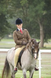 265 HOYS M&M Ridden Welsh B