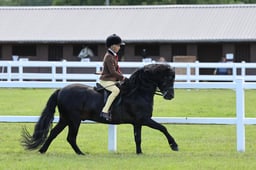 HOYS Junior Ridden Championship