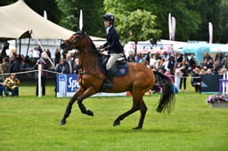 R39_1069 2026