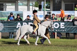 C46_2397 2026