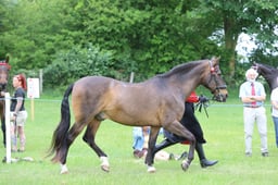 J36_6588 2026