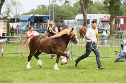 E34_2337 2026