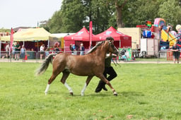 E34_2020 2026