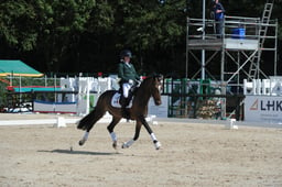 Dressage Demo