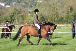 C19_0404 2026
