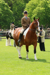 S28_7540 2026