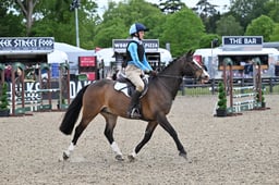 649 Oliver Twist