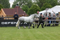 W29_0865 2026