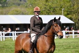 A19_3137 2026