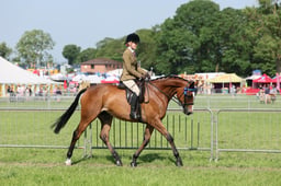 C34_0806 2026