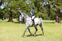 A27_4420 2026