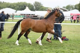 E29_0549 2026
