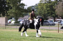 122E Ridden Coloured Championships