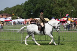 C34_1042 2026