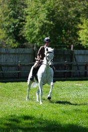 M19_0543 2026