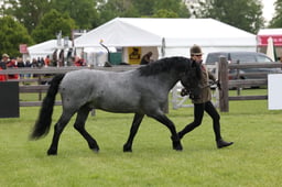 W29_0624 2026