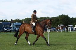 E36_0409 2026