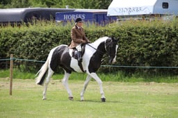 W36_1192 2026