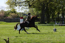 135-132 Training Stakes Championship