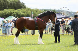E36_0999 2026