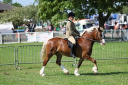 H33_4277 2026
