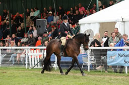 01 Young Rider Championship