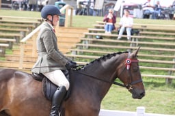 CL18 BRC Ridden Riding Club Horse & Pony