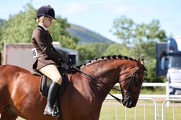 SUPREME RIDDEN PONY