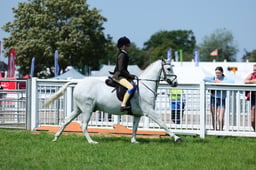 F33_0592 2026