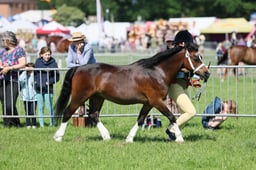 C33_0949 2026