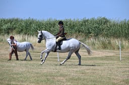 S60_0550 2026