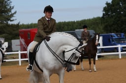 M66_6587 2026