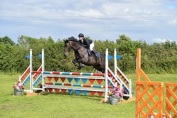 Class 5a - Senior Foxhunter