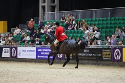 Supreme Horse of the Year Prelim