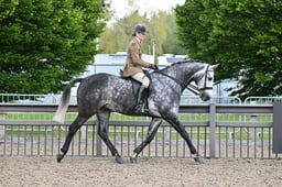 44 Small Hunter