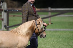 Ledbury Ring B