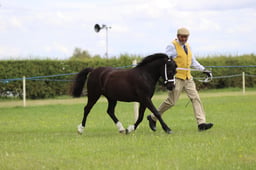 J36_7114 2026