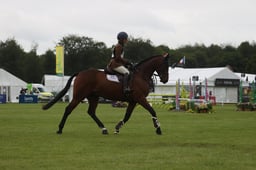 S38_0023 2026