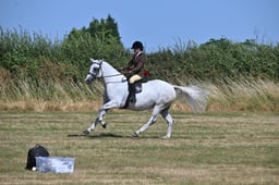 S60_0547 2026