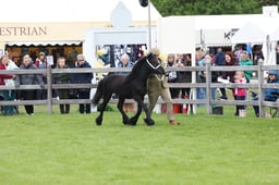 W29_0997 2026