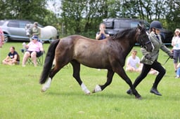 J36_7008 2026