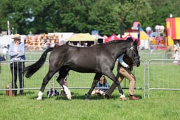 C33_0884 2026