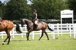 CLH213 Novice Ridden RoR