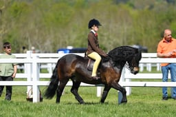 H19_0604 2026